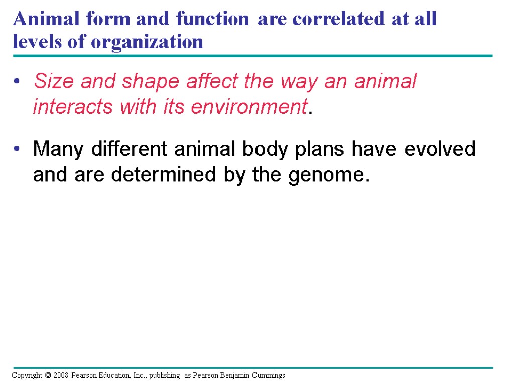 Animal form and function are correlated at all levels of organization Size and shape